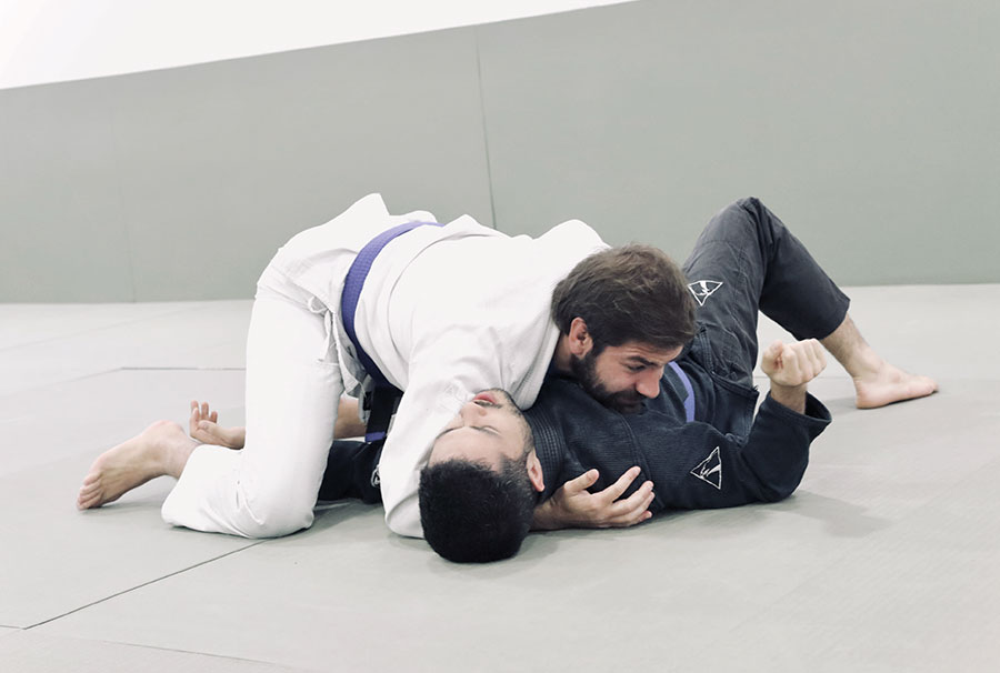 img-Alliance-Programa-Intermediario03